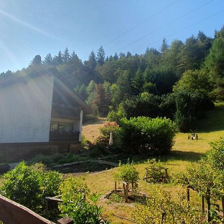 Pension Ernst Im Herzen Des Pfaelzerwaldes Mit Kueche Otel Elmstein Dış mekan fotoğraf