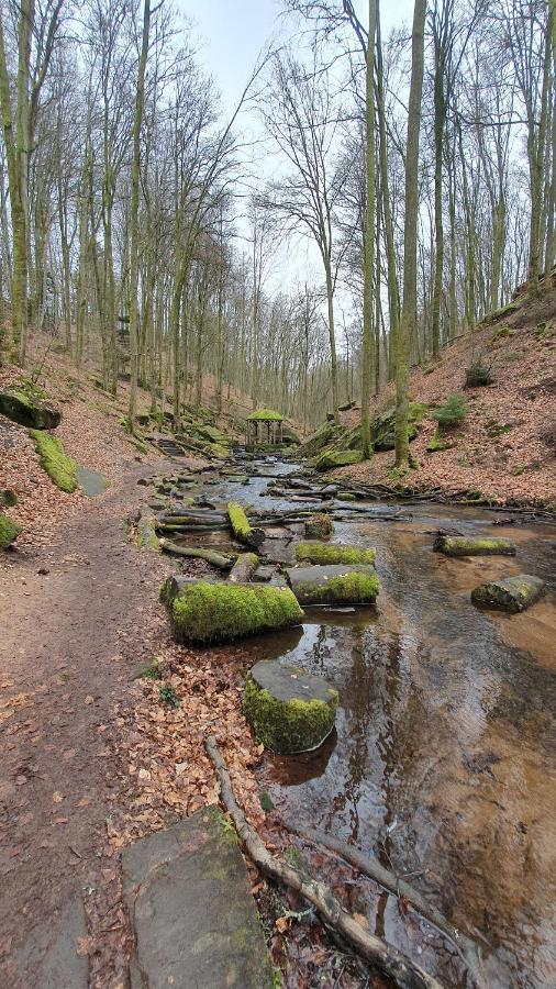 Pension Ernst Im Herzen Des Pfaelzerwaldes Mit Kueche Otel Elmstein Dış mekan fotoğraf