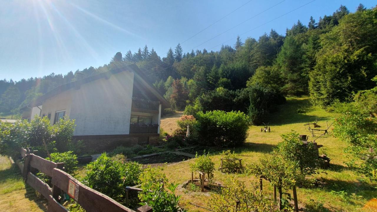 Pension Ernst Im Herzen Des Pfaelzerwaldes Mit Kueche Otel Elmstein Dış mekan fotoğraf