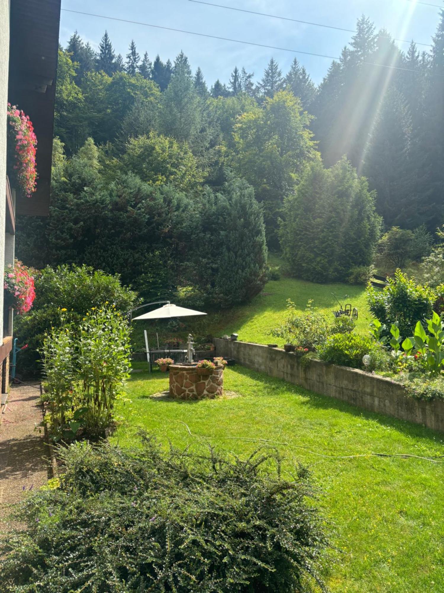 Pension Ernst Im Herzen Des Pfaelzerwaldes Mit Kueche Otel Elmstein Dış mekan fotoğraf