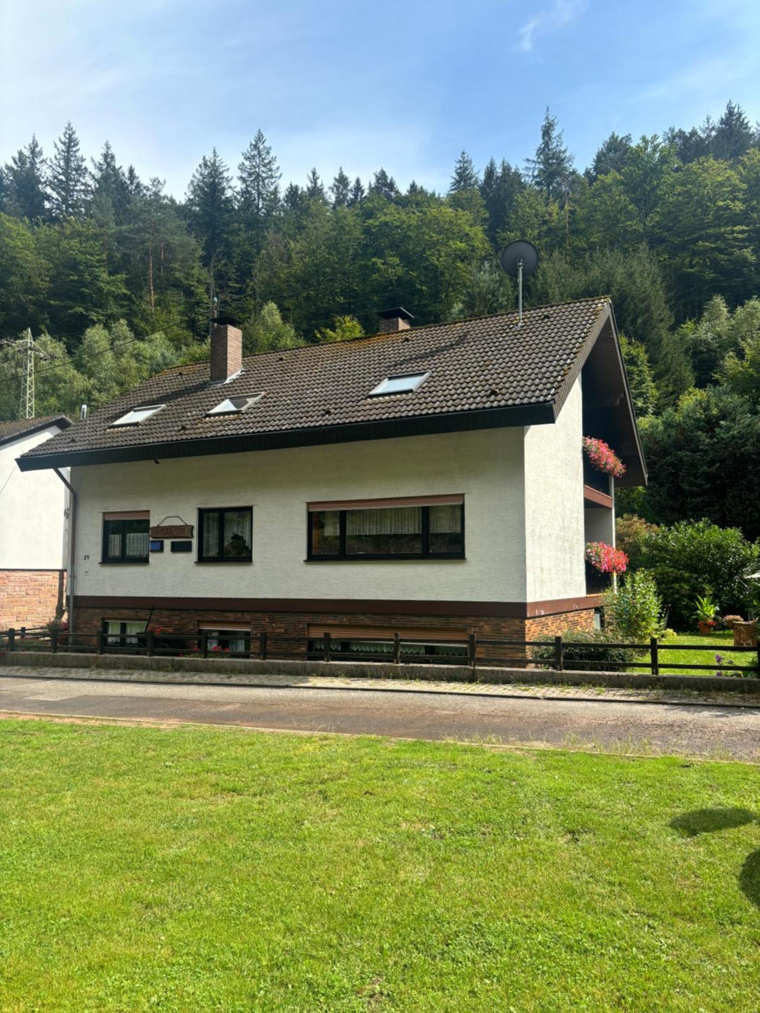 Pension Ernst Im Herzen Des Pfaelzerwaldes Mit Kueche Otel Elmstein Dış mekan fotoğraf